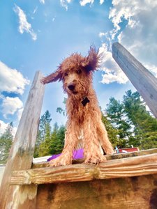2026 Photo Contest