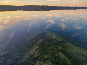 2026 Photo Contest