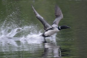 2026 Photo Contest