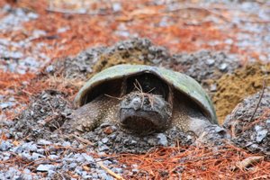 2026 Photo Contest