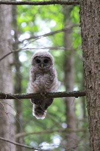 2026 Photo Contest