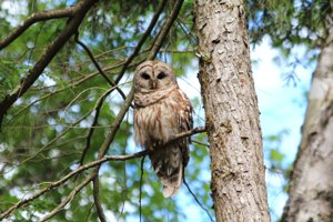 2026 Photo Contest