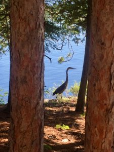 2026 Photo Contest