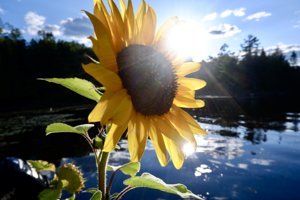 2026 Photo Contest