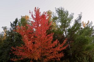 2026 Photo Contest