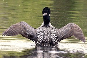 2025 Photo Contest Winners