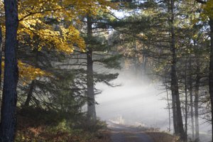 2025 Photo Contest Winners
